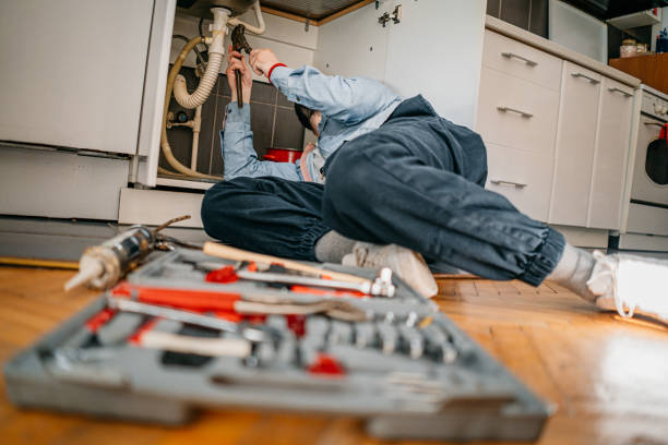 Best Local Plumber Services  in Farmers Loop, AK