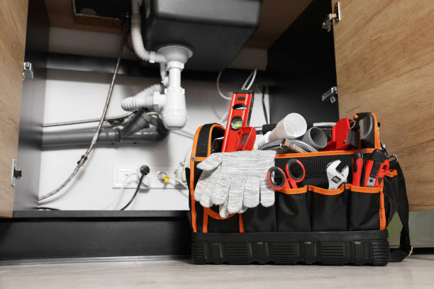 Best Plumbing Inspection Services  in Farmers Loop, AK
