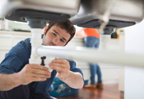 Best Plumbing Services Near Me  in Farmers Loop, AK